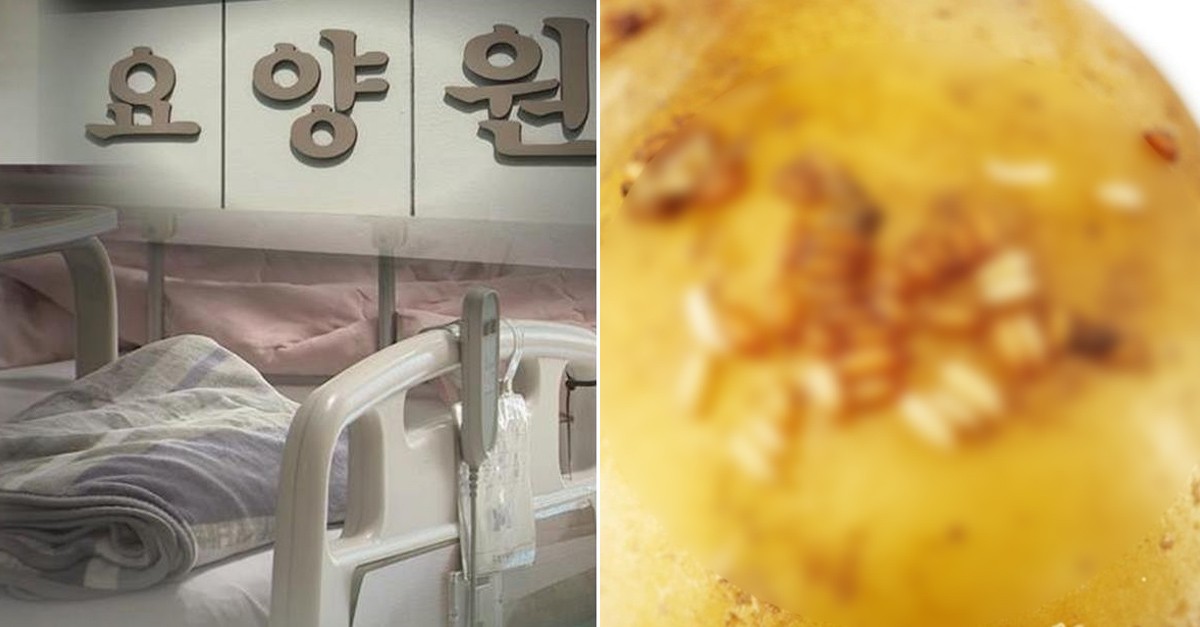  요양병원 환자 입안서 구더기가 꿈틀..."목구멍까지 들어갔어요"