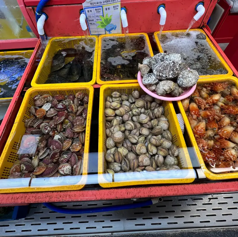 자갈치시장4