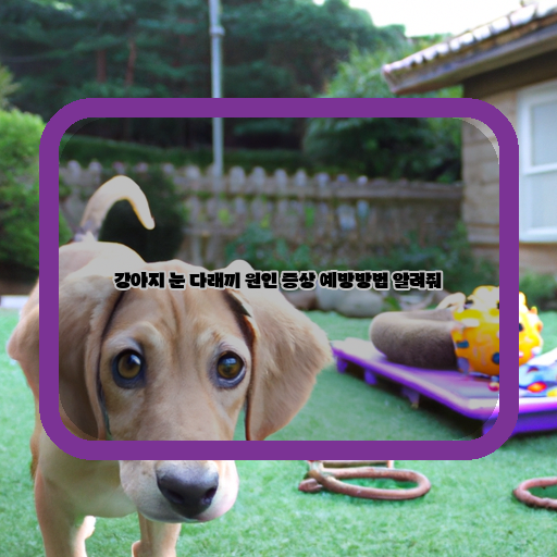  강아지 눈 다래끼 원인과 예방 방법에 대해 알아보자!