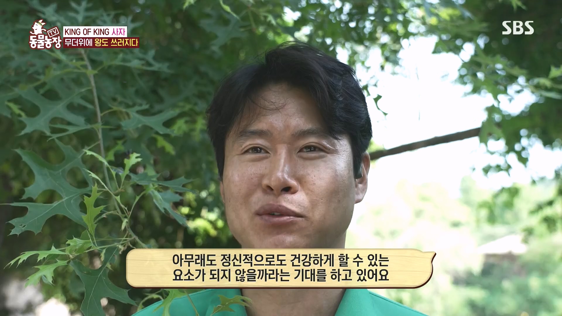 TV 동물농장.E1182.240728p.H264-F1RST.mp4_20240728_152536.035.jpg