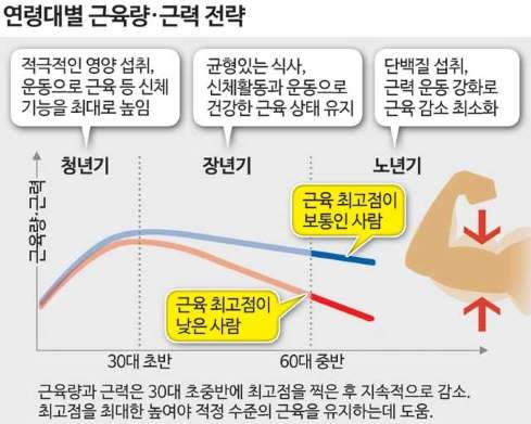  근육이 연금보다 중요하다