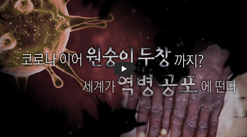  원숭이 두창에 뚫린 유럽, 전 세계 확산에 공포!!/ 역사 속 오늘의 사건(2023.5.6.)