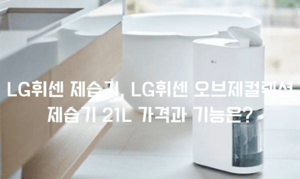 LG휘센 오브제컬렉션 제습기 21L 가격