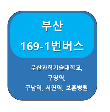 부산169-1번버스썸네일