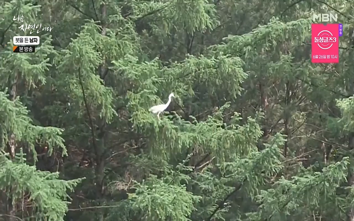 나는 자연인이다.E506.220616p-NEXT.mp4_20220616_200842.728.jpg