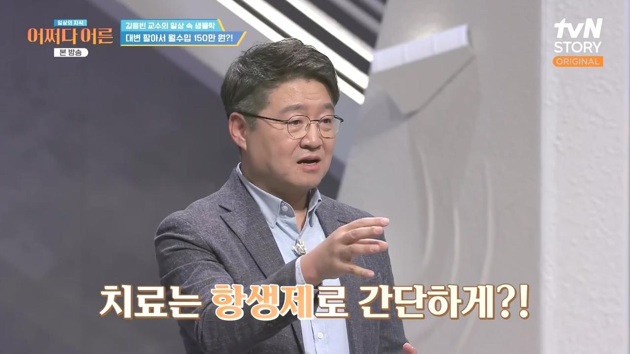 어쩌다 어른.E51.240410p-NEXT.mp4_20240410_170651.916.jpg