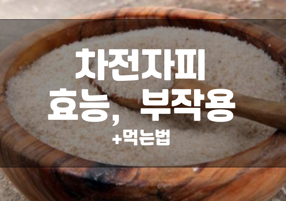  차전자피 효능 먹는법 부작용