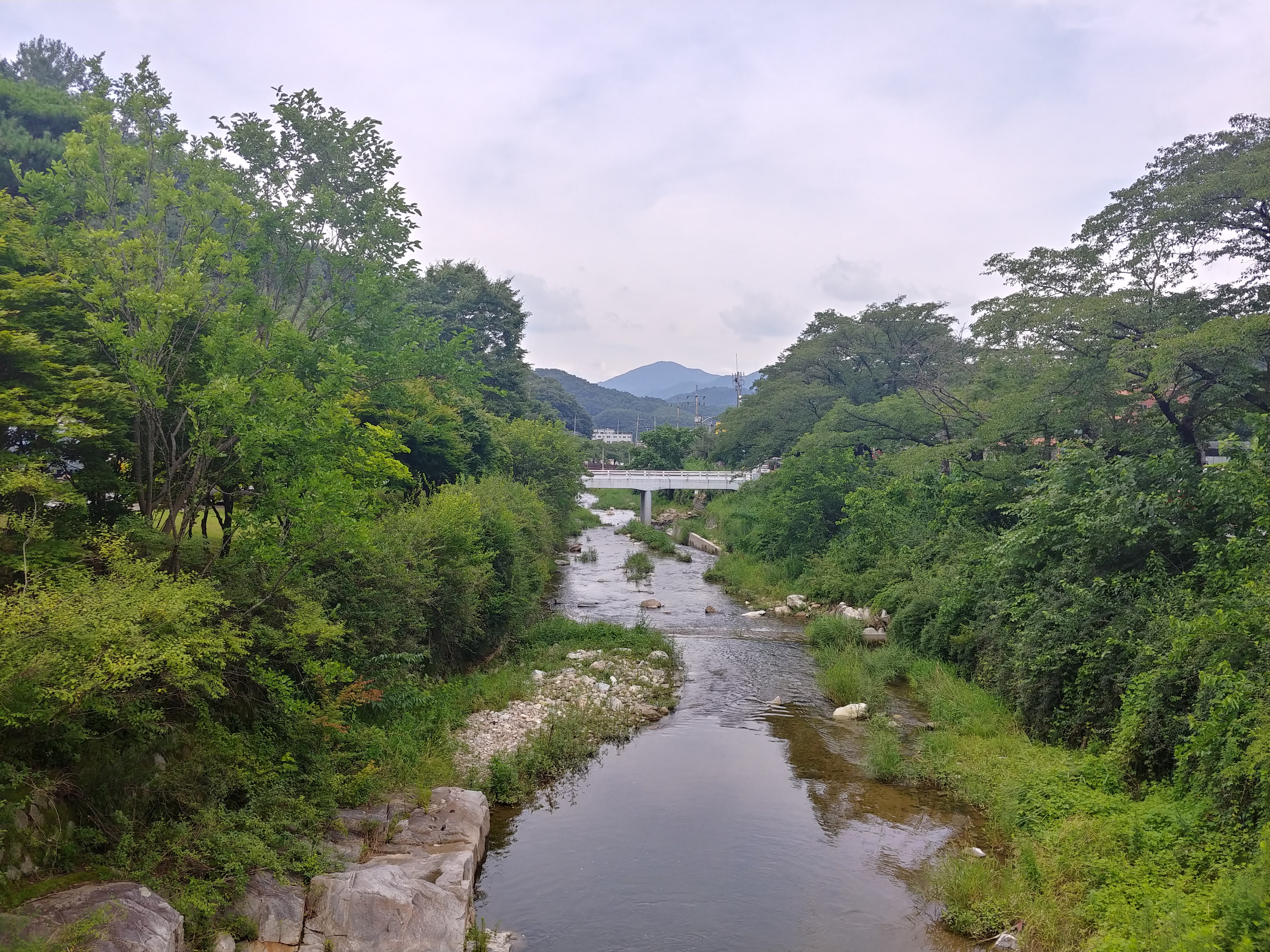  [걷기좋은날] 김천시 가볼만한 곳 직지문화모티길 둘레길 탐방하기