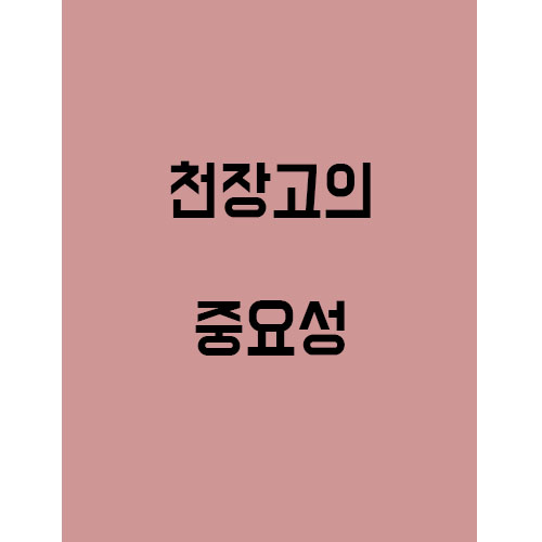  천장고의 높이의 중요서!