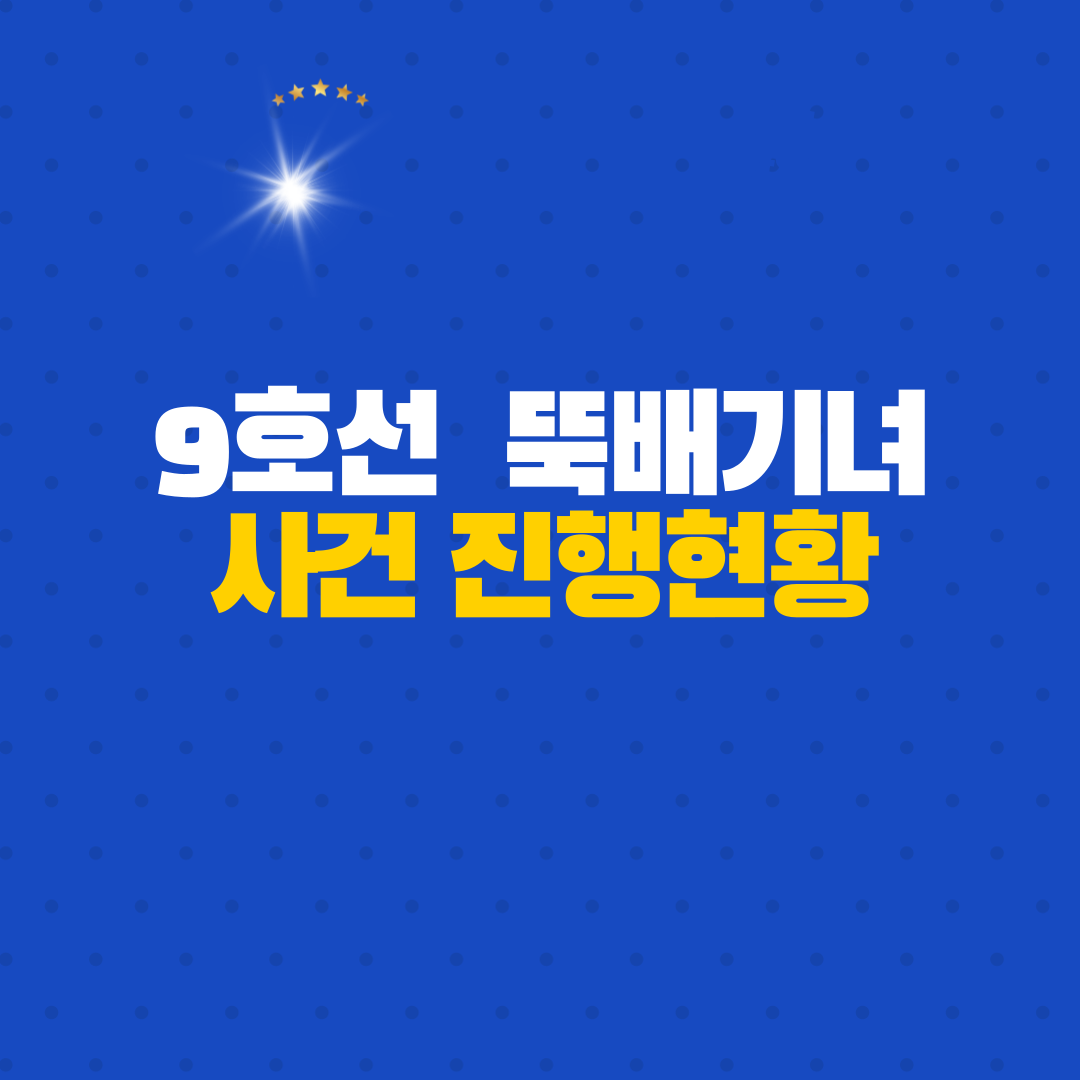  [9호선 지하철 뚝배기녀]   현재 진행상황