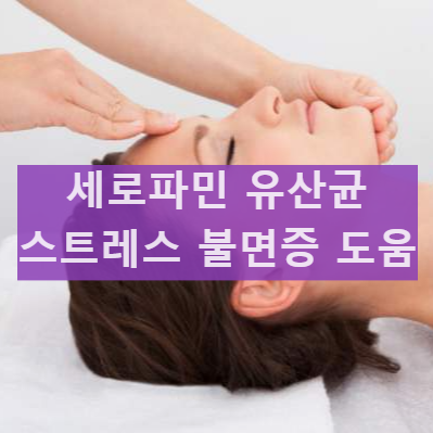 세로파민 유산균 내돈내산 후기 효과 수면부족 불면중 스트레스 피부 효능