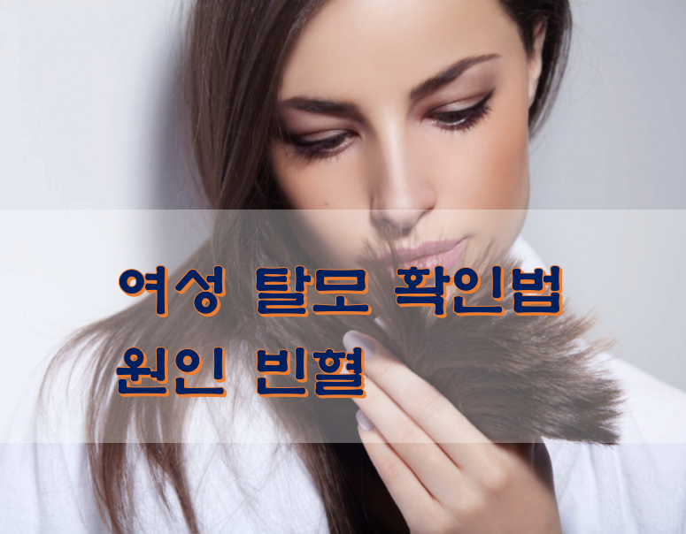  여성 탈모 확인법 원인 빈혈