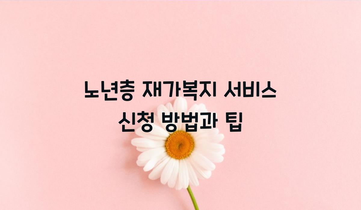 노년층 재가복지 서비스 신청