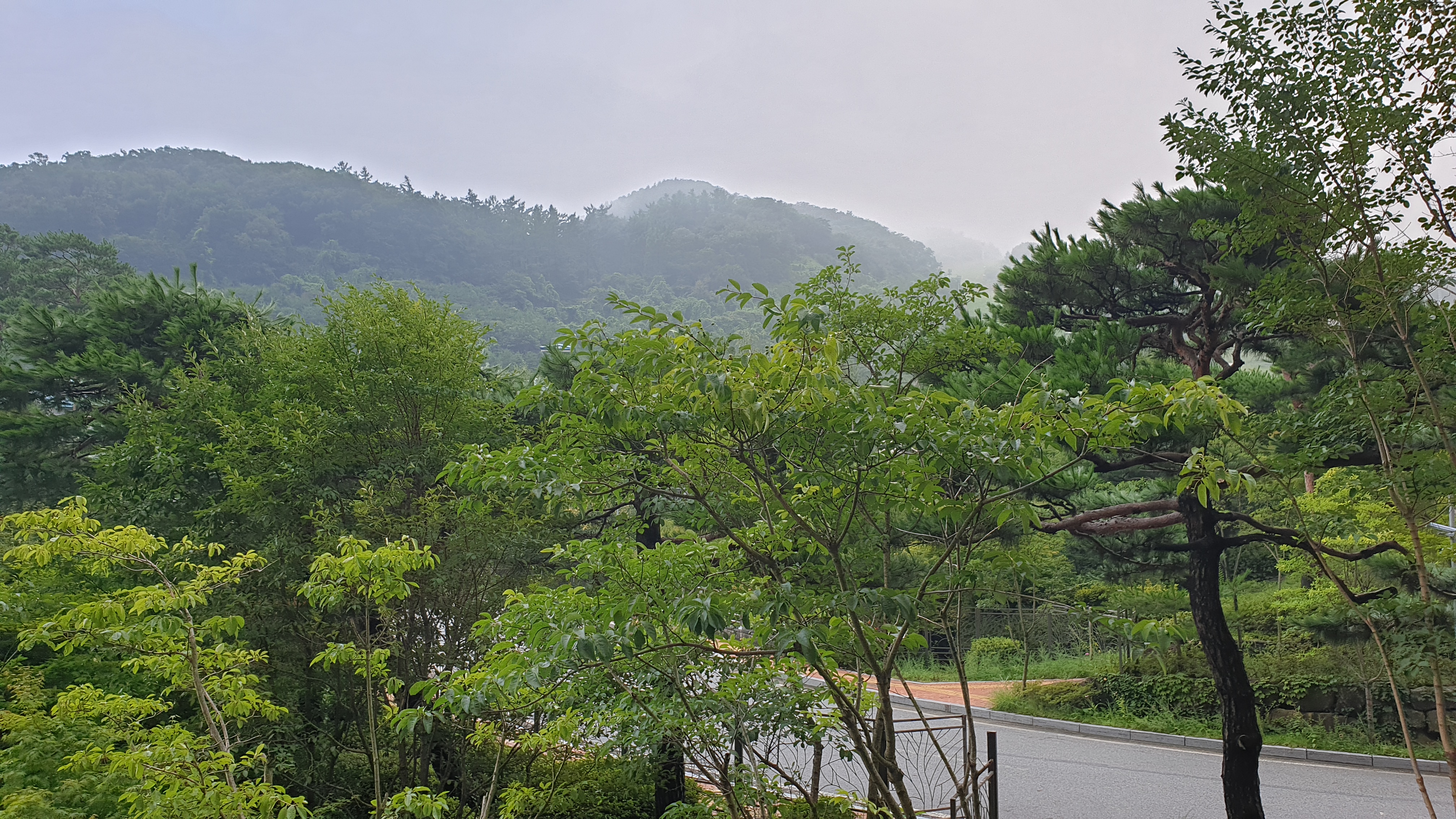 1374 단양 스카이워크 ~잔도길, 3