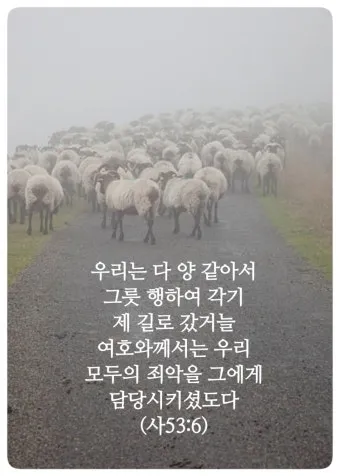 이사야 53장 고난 묵상_19