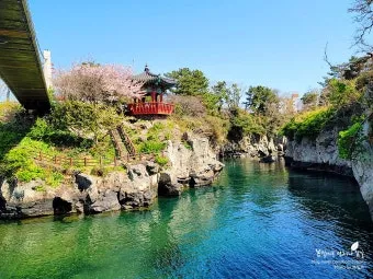 제주시볼거리 6월 제주도 여행 볼거리 제주시 볼거리 한라수목원 완벽 가이드_16