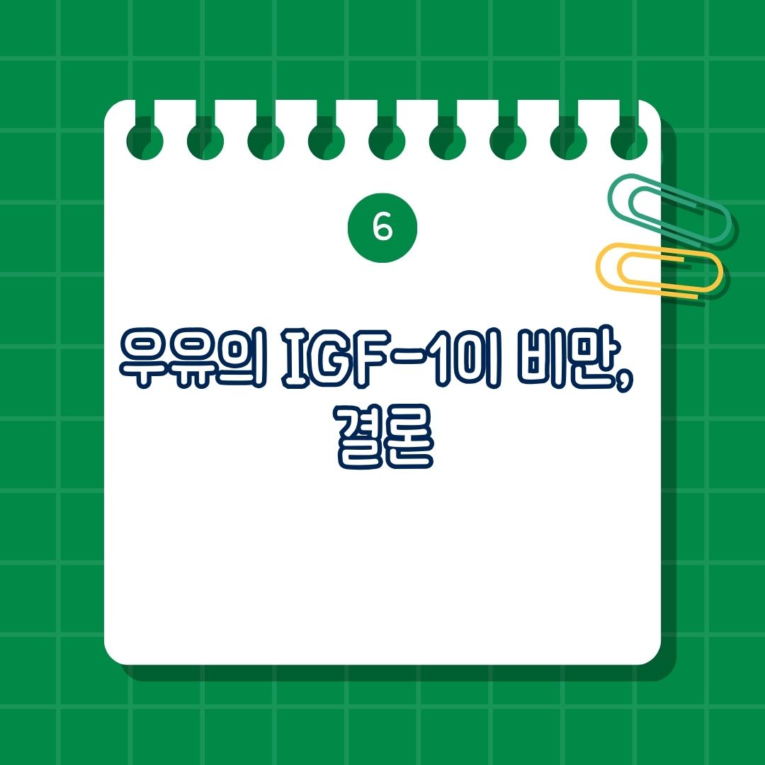 IGF-1(인슐린 유사 성장인자-1)과 비만의 관계, 우유와 비만 연관성, IGF-1이란 무엇인가, 결론