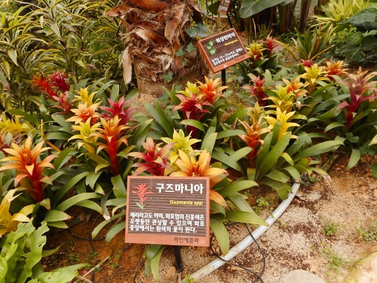 모란세계여행 이미지