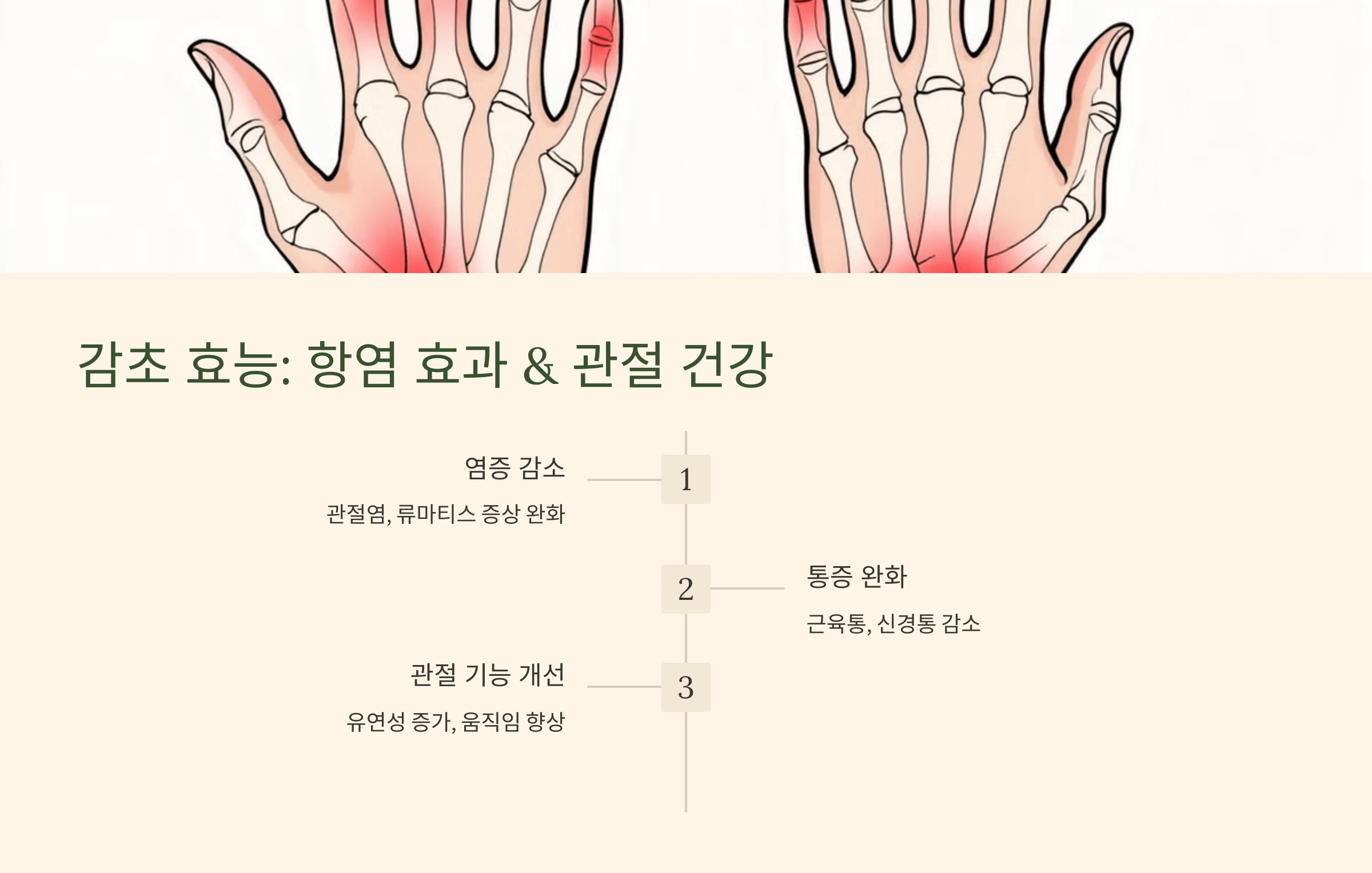 감초 사진입니다.