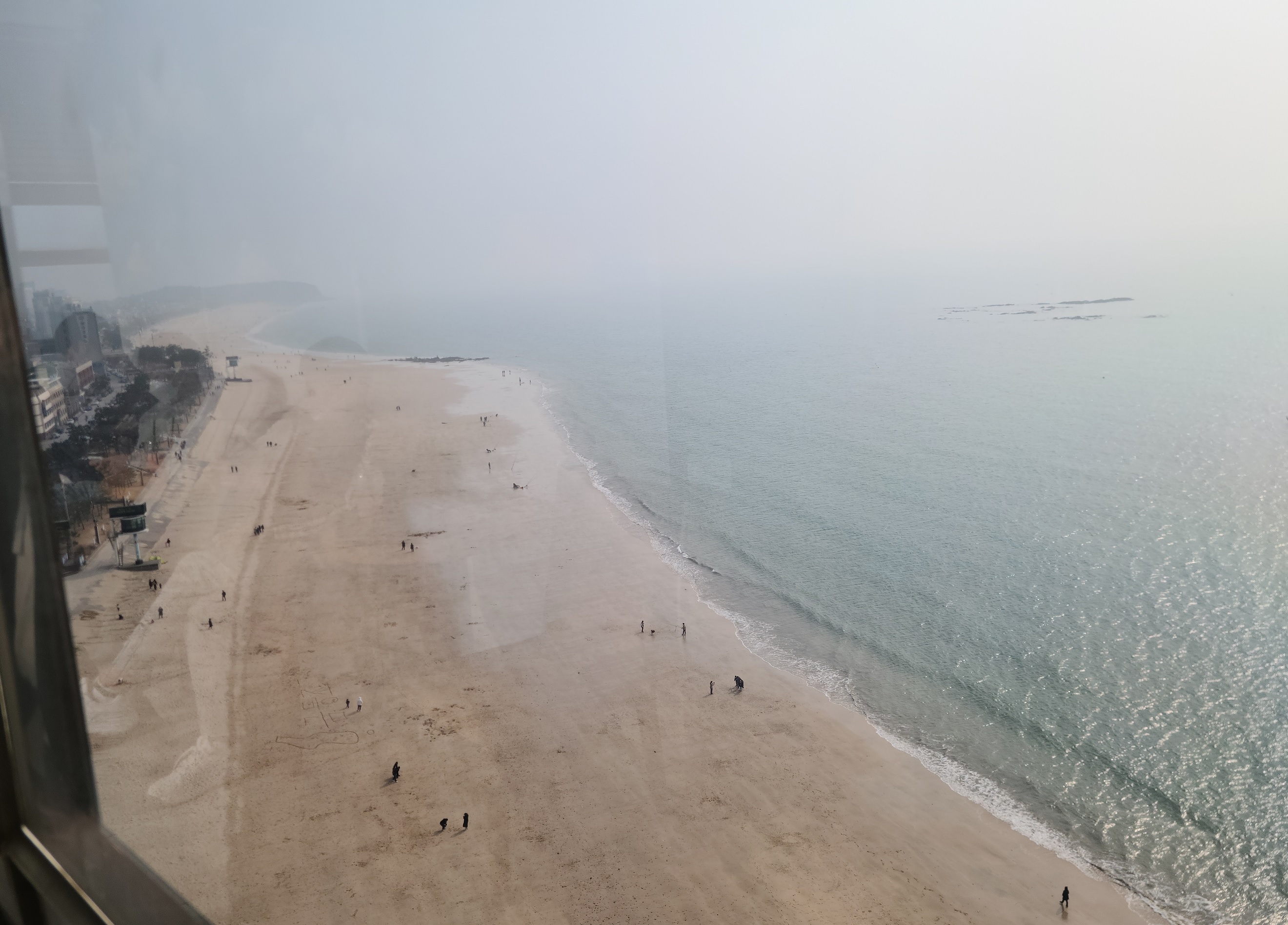  [충남 가볼만한 곳]대천 짚라인 후기(가격, 예약, 높이 등)