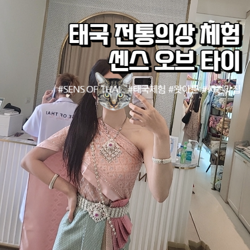 전통타이 이미지