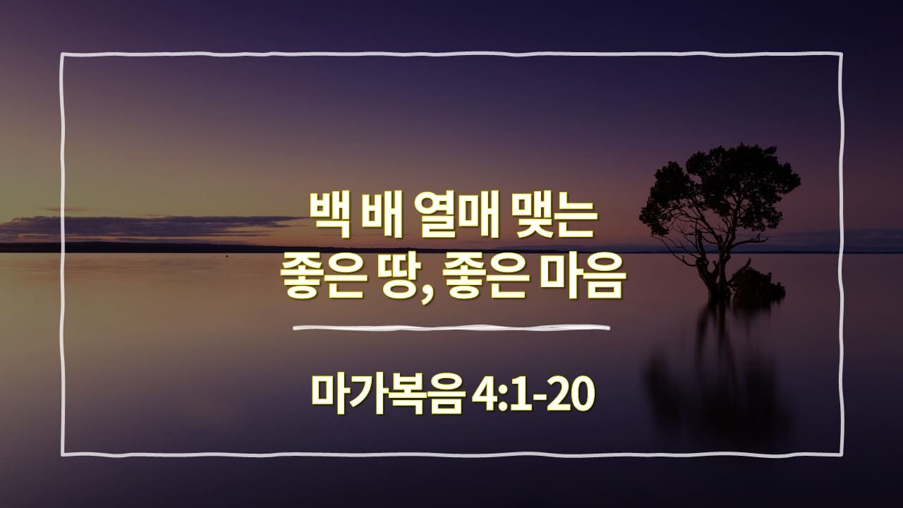 [생명의 삶 묵상] 마가복음 4:1-20&#44; 백 배 열매 맺는 좋은 땅&#44; 좋은 마음