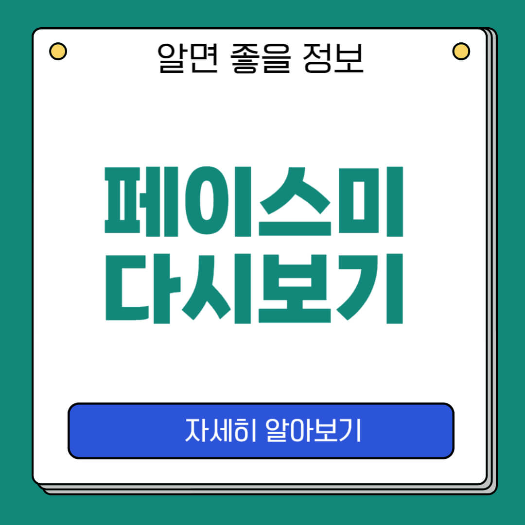 페이스미