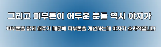  그리고 피부톤이 어두운 분들 역시 야자가 피부톤을 밝게 해주기 때문에 피부톤을 개선하는데 야자가 효과적입니다