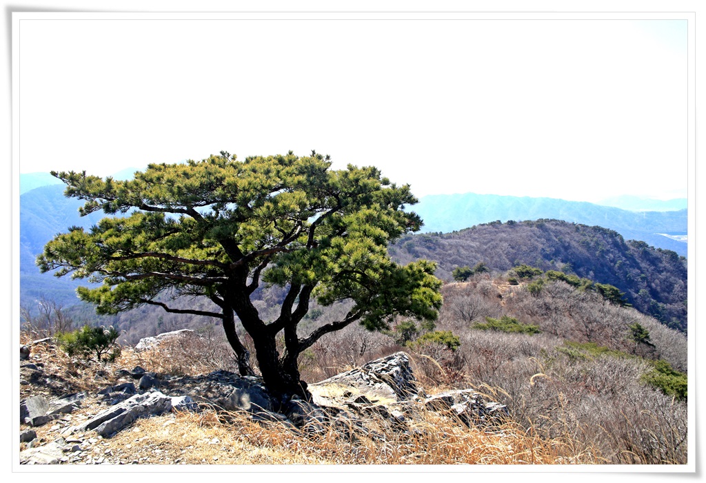 대암산, 용지봉 8