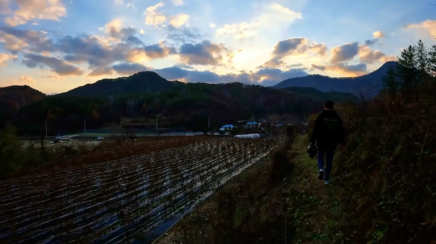 노을이 지는 산과 들판