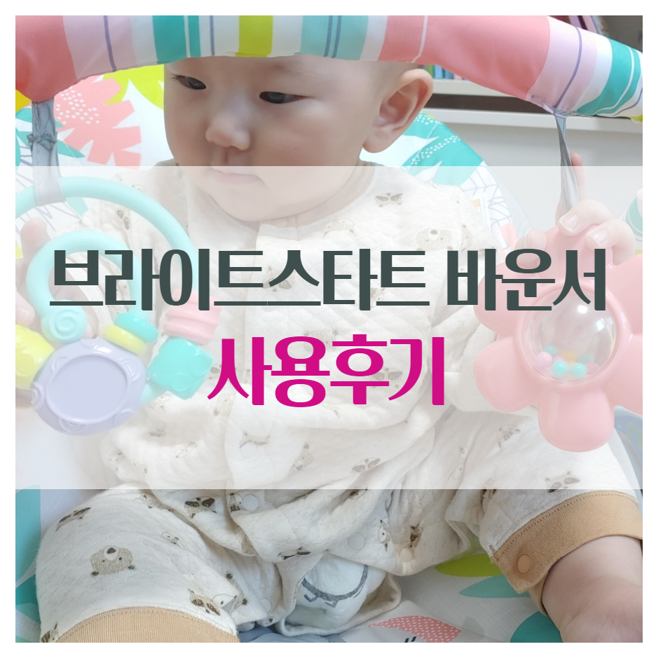  브라이트스타트바운서 출산 선물로 어떠신가요?