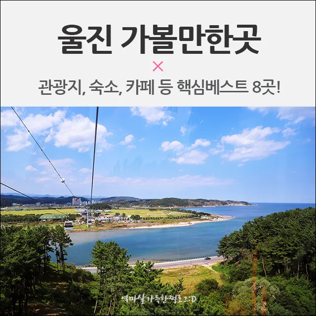 울진 가볼만한곳 베스트10 현지인 추천 필수코스_5