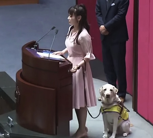 코이의-법칙-김예지-의원-연설
