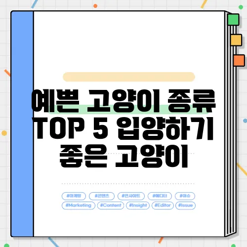 예쁜 고양이 종류 TOP 5 입양하기 좋은 고양이