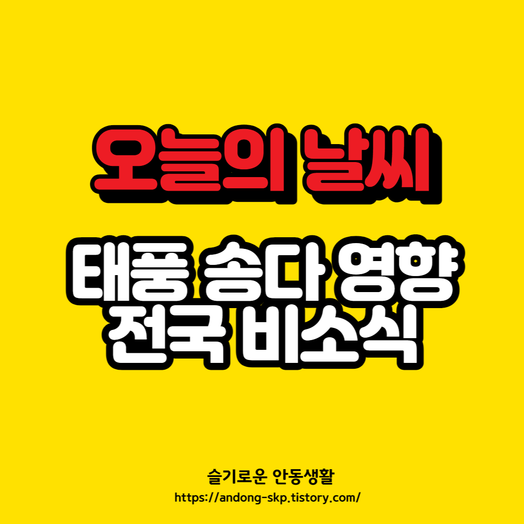  [7월 31일] 태풍 송다 영향, 날씨 정보