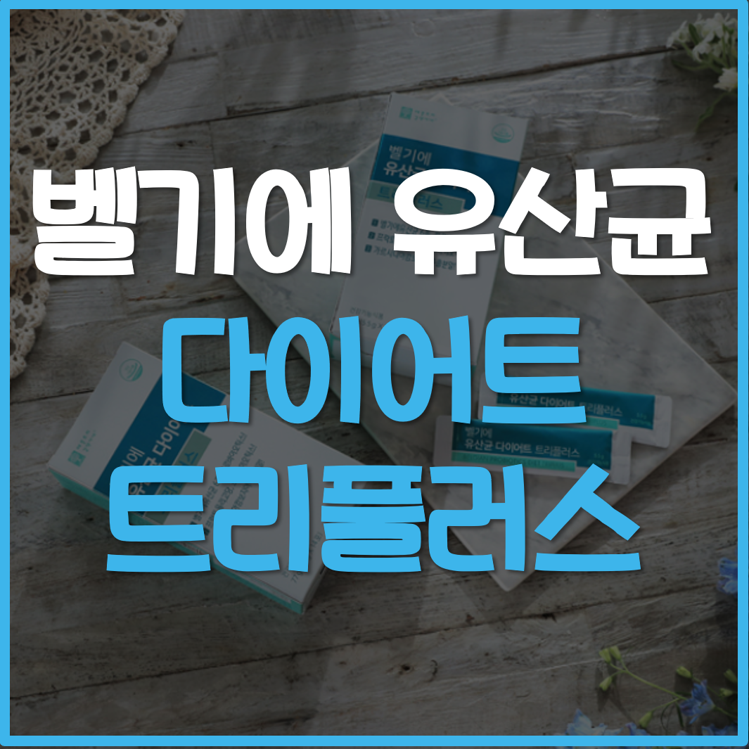  벨기에 유산균 다이어트 트리플러스 효능 가격