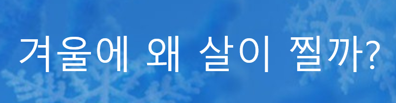  겨울에 살이 찌는 이유