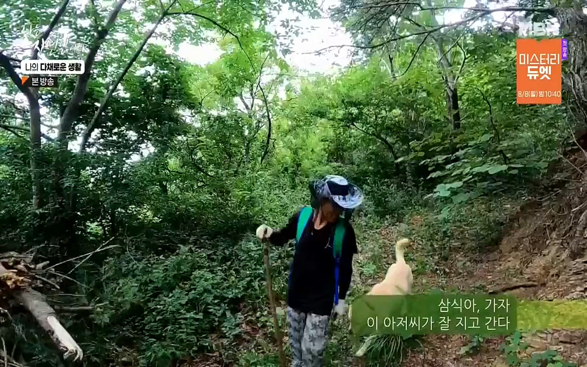 나는 자연인이다.E513.220804p-NEXT.mp4_20220804_202005.243.jpg