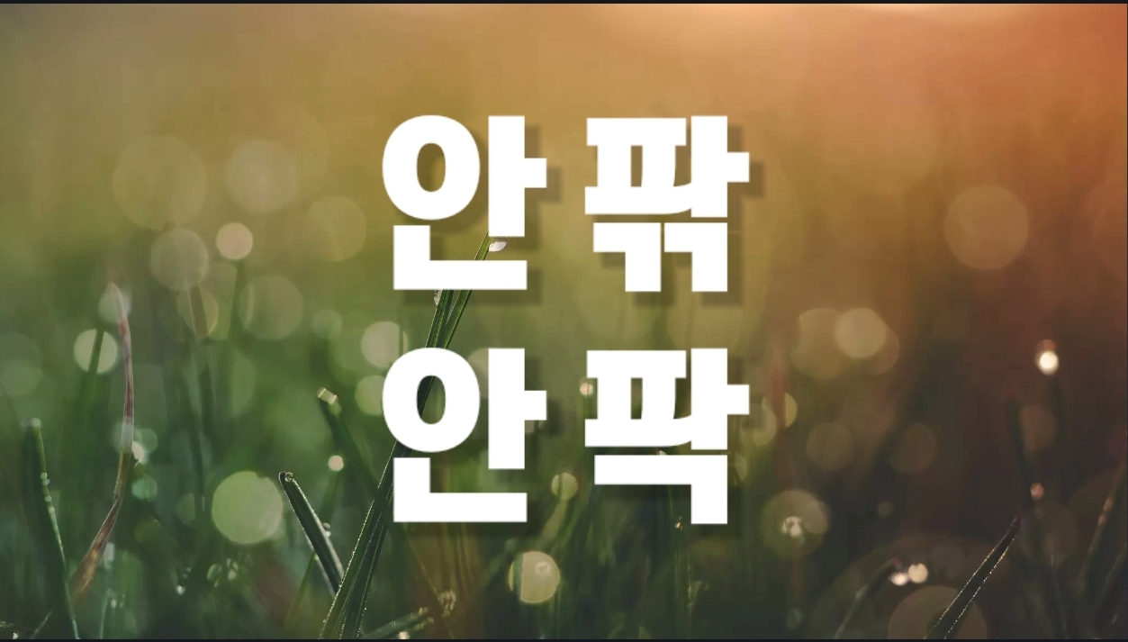  안팎, 안팍 맞는 표현은?