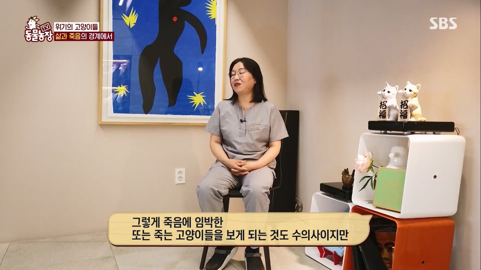 TV 동물농장.E1127.230702p.H264-F1RST.mp4_20230704_212716.123.jpg