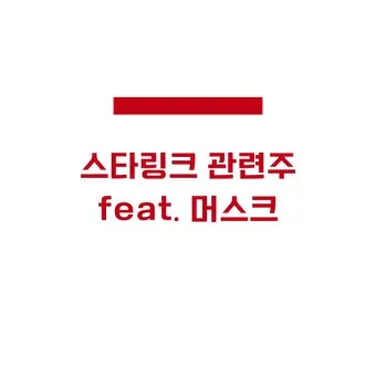 스타링크 이미지