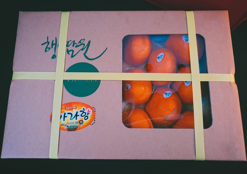 올레김밥 이미지