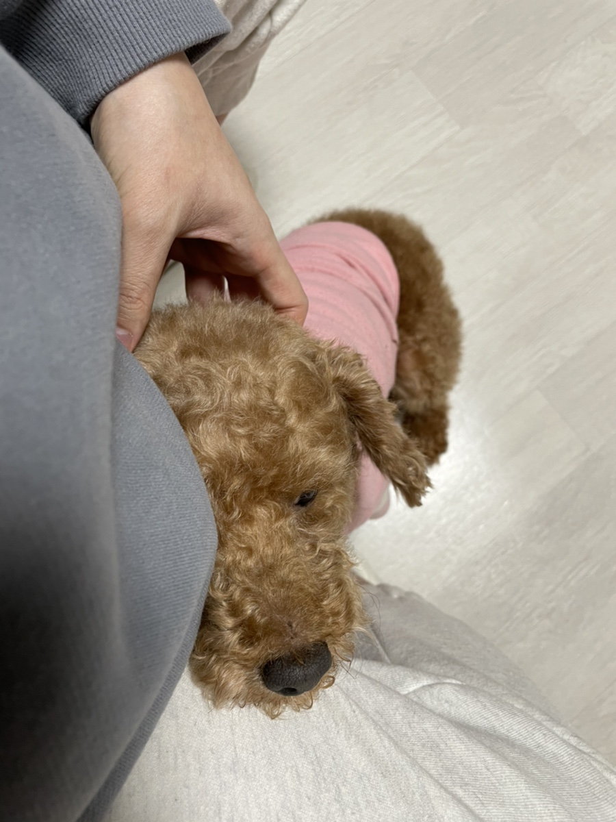 리얼로또 미소래병원 제왕절개리얼후기 및 14