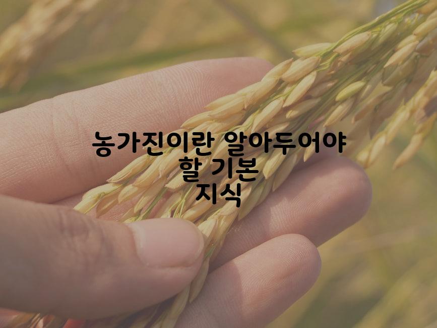 농가진이란 알아두어야 할 기본 지식