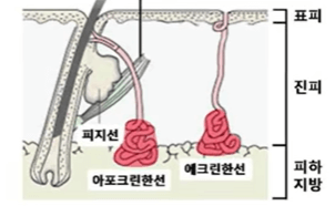 성장기 대표 트러블 