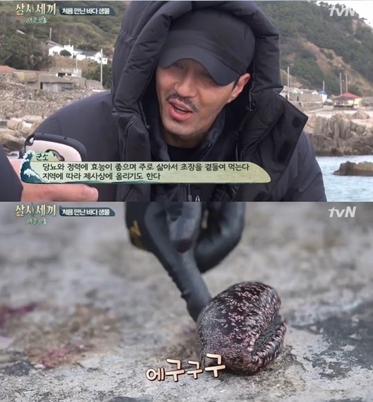  삼시 세끼에도 나온 군소 맛과 손질법 그리고 가격은?