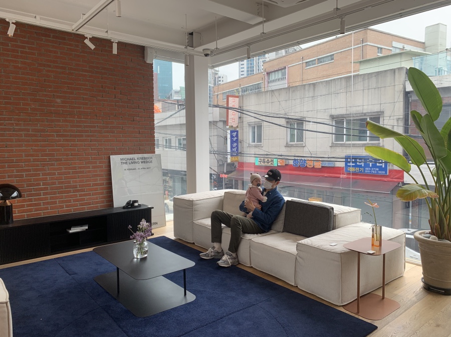 잭슨카멜레온, 플랜트란스 29