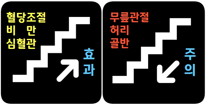 계단운동의 장점과 단점