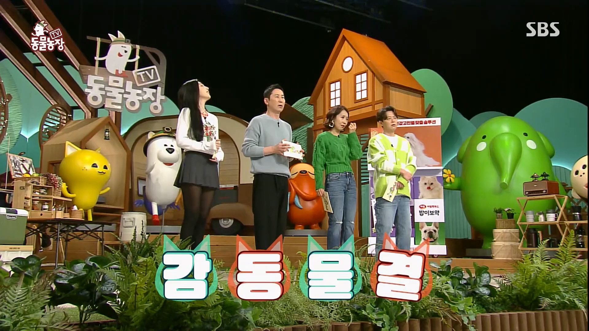 TV 동물농장.E1109.230219p.H264-F1RST.mp4_20230219_142816.167.jpg