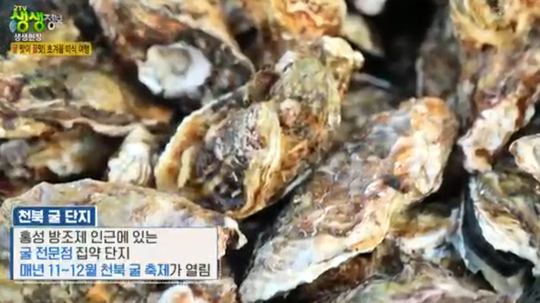 천북굴단지 정보 안내